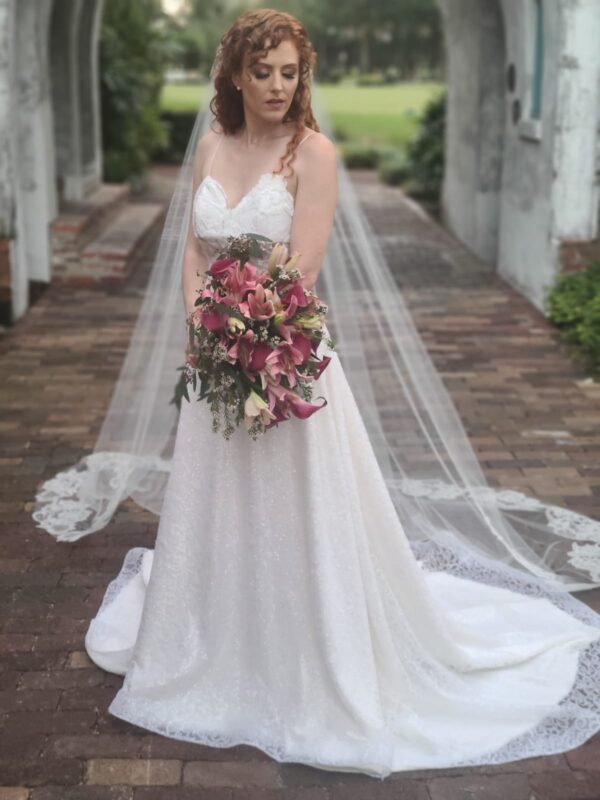 Cathedral long bridal veil, sparkly wedding dress