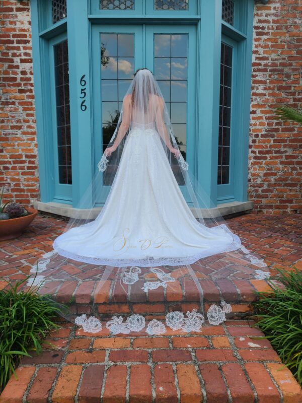 Cathedral lace wedding veil, custom design lace border bride veil, sparkly low back wedding dress